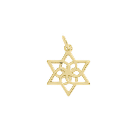 Anhänger Gelbgold 585 Davidstern