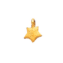 Anhänger 14 carat Gold